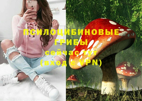 амф Бугульма