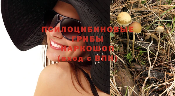 амф Бугульма