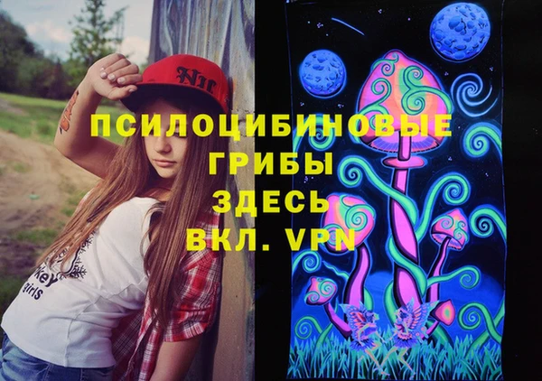 ALPHA PVP Богородицк