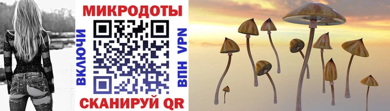мориарти какой сайт  Воронеж  Псилоцибиновые грибы Cubensis 